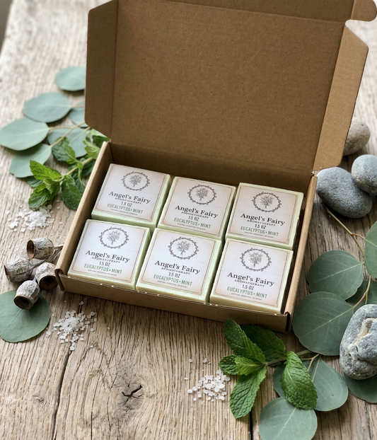 Eucalyptus Shower Steamers (6 Pack)