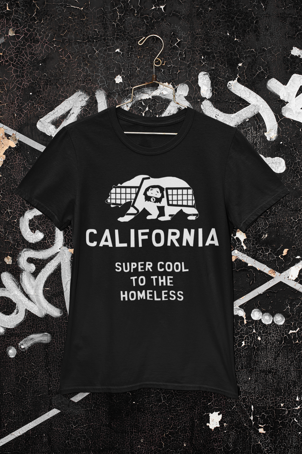 California Super Cool To The Homeless